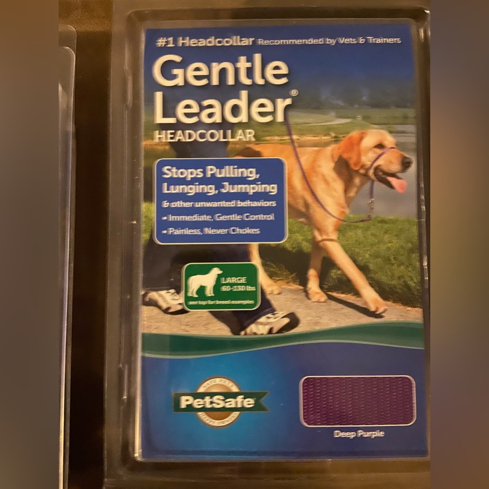 New Dog Collar- Gentle Leader (Purple)